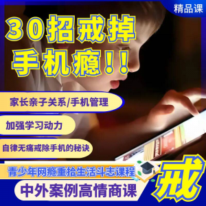戒瘾网瘾视频教程全套管理技巧亲子关系学习动力在线课程-虚拟资料平台