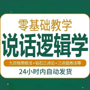 说话技巧口才训练思维逻辑学习课程如何让说话更有逻辑教程视频-虚拟资料平台