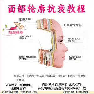 美商课程面部轮廓抗衰美肤减龄变美视频教程形象管理内在美好气色-虚拟资料平台