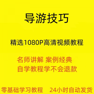 导游技巧视频教程新手自学零基础入门精通教学课程全集-虚拟资料平台
