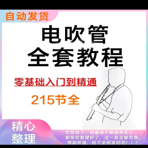 乐器电吹管教程课程实用学习视频初学者入门零基础网盘电子版教程-虚拟资料平台
