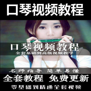 口琴自学教程视频零基础初学者入门到专业十孔24孔教学-虚拟资料平台