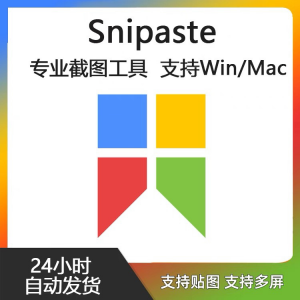 Snipaste for Mac 电脑截图贴图工具 支持Windows 苹果系统-虚拟资料平台
