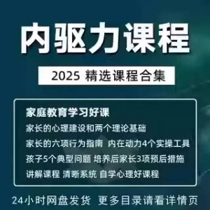 内驱力培训课程培养孩子自觉性提升内在亲子教育学习电子版资料-虚拟资料平台