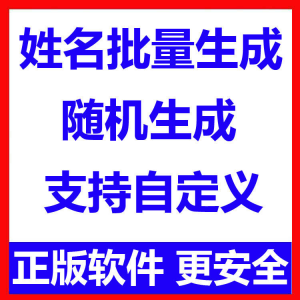 姓名批量生成工具 用户名随机不重复生成软件 可自定义-虚拟资料平台