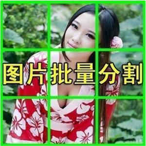 图片批量切割软件 图片批量分割工具 批量切图器 图片批量裁剪-虚拟资料平台