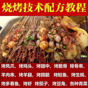 正宗全国烧烤技术配方全套视频教程配料技巧制作培训教学资料大全-虚拟资料平台