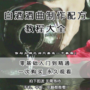 白酒酒曲制作配方教程酿酒技术秘方勾兑视频教学课程零基础学习-虚拟资料平台