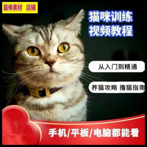 猫咪训练+养猫攻略大全技巧秘诀自学教程课程视频-虚拟资料平台