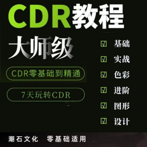 cdr教程视频Coreldraw自学平面设计广告排版零基础入门学习课程-虚拟资料平台