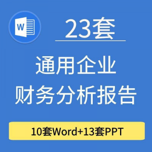 23套通用企业公司年度财务分析报告word电子文档模板PPT演示-虚拟资料平台
