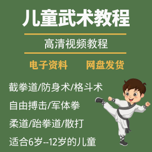 少儿童武术视频教程零基础自学咏春散打擒拿泰拳跆拳道防身术课程-虚拟资料平台