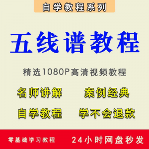 五线谱视频教程教学培训课程在线自学儿童零基础从入门到精通教程-虚拟资料平台
