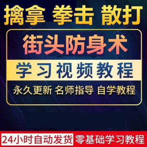街头防身术擒拿拳击散打视频教程全套入门自学零基础学习教程视频-虚拟资料平台