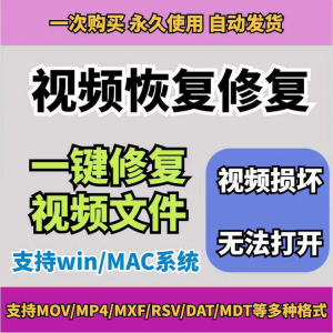 损坏MP4视频修复软件断电恢复工具短片导出摄像机视频文件修复-虚拟资料平台