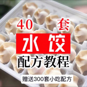 【0.01秒发】40套水饺技术配方 特制技术视频教程-虚拟资料平台