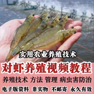 对虾养殖技术视频教学教程水质管理日常养护疾病防治南美白素材-虚拟资料平台