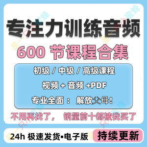 儿童专注力教程听觉注意力训练分阶全套音频视频课程早教电子版-虚拟资料平台
