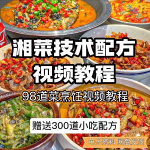 【0.01秒发】98道湘菜技术配方视频教程商用湖南菜炒菜特色小吃-虚拟资料平台