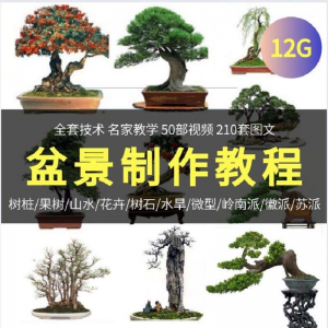 盆景制作技术视频教程工艺教学果树桩山水微型造型全套-虚拟资料平台