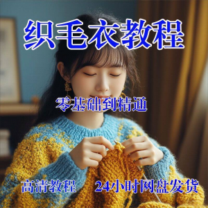 手工织毛衣视频零基础传统棒针钩针毛线编织婴儿童全套-虚拟资料平台