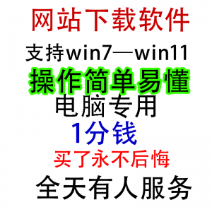 扒站扒网站扒网页扒全站下载修改下载软件克隆工具抓取拷贝单页-虚拟资料平台