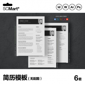 6套高级英文简历Word简历 ai psd设计师简历模板毕业生简历CV29-虚拟资料平台