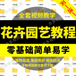 花卉园艺家庭养花盆栽苗圃栽培常识自学视频教程素材资料全套课程-虚拟资料平台