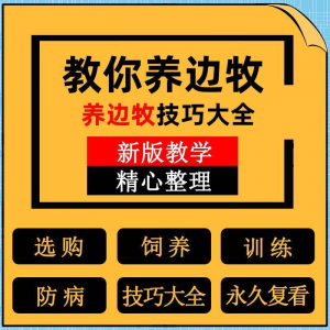 边牧训练方法教程边境牧羊犬驯养技术饲养喂养选购训犬技巧大全套-虚拟资料平台