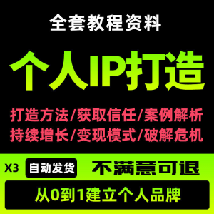 个人IP打造教程如何快速打造个人IP社交品牌定位训练营资料大全新-虚拟资料平台