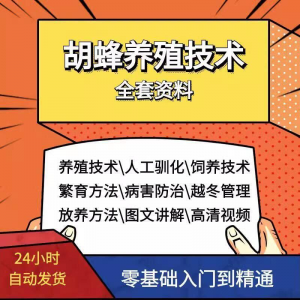 胡蜂养殖技术蜜蜂视频资料黄蜂黑盾怎样养胡蜂人工饲养教程大全-虚拟资料平台