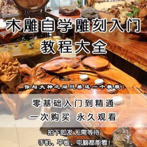 木雕自学雕刻入门教程木匠制作diy手工技术玉石学习视频教学课程-虚拟资料平台