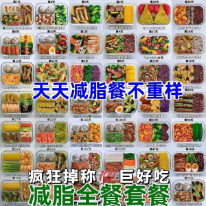 减肥食谱电子版课程 减脂餐一日三餐指导科学健康瘦身配餐计划-虚拟资料平台