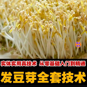 自学发豆芽技术资料豆芽加工制作方法教学 培育豆芽商用视频教程-虚拟资料平台