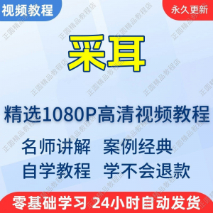 采耳手法视频学习教程新手自学零基础入门精通教学培训课程全集-虚拟资料平台
