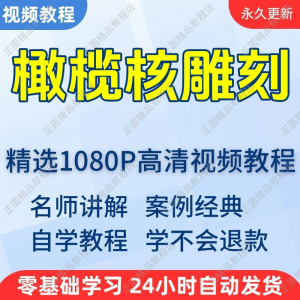 橄榄核雕刻视频学习教程新手自学零基础入门精通教学课程全集-虚拟资料平台