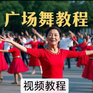 中老年广场舞视频下载高清视频教学打包MP4 MP3背面动作分解教程-虚拟资料平台