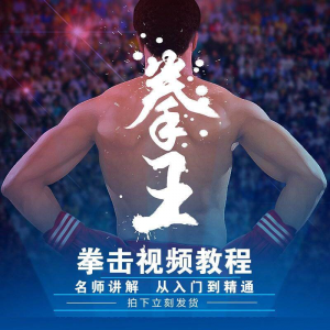 拳击教学视频 自学教程 训练零基础运动入门健身搏击格斗武术课程-虚拟资料平台