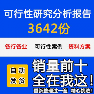 项目可行性研究分析报告案例品牌融资投资研究资料方案大全模板-虚拟资料平台
