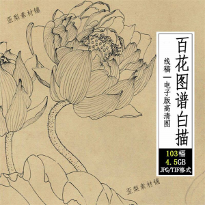 百花图谱白描线稿图集 国画花卉植103幅tif格式3.6G高清图片素材-虚拟资料平台