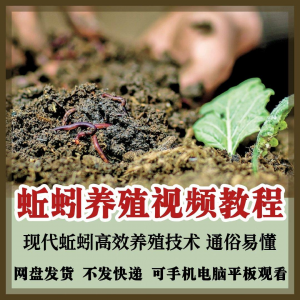 蚯蚓养殖技术视频教程素材零基础农业创业大棚如何养蚯蚓高效素材-虚拟资料平台