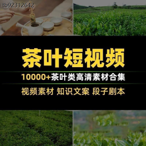 茶叶茶业茶具茶道茶艺茶文化知识文案茶园采茶泡茶高清短视频素材-虚拟资料平台