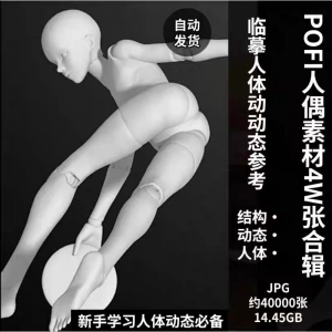 pofi无限人偶4W截图绘画素材pofi无线人偶人体动态学习素材临摹-虚拟资料平台