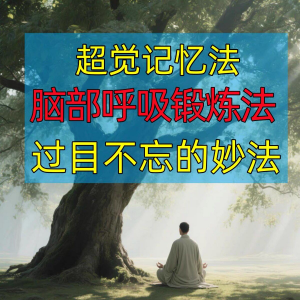 过目不忘修炼记忆力脑部呼吸锻炼法改造大脑健身气功养生训练方法-虚拟资料平台